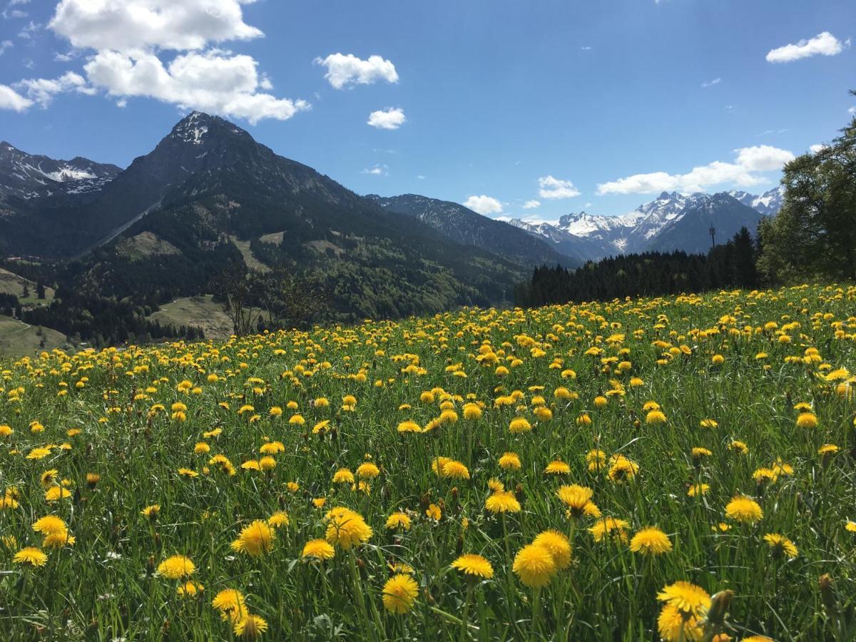 Bergfex Gaisalphorn Mit Sommer-Bergbahnticket Oberstdorf Ngoại thất bức ảnh